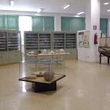 Museo di scienze naturali, settore geopaleontologico: la collezione di marmi dell'antica Roma